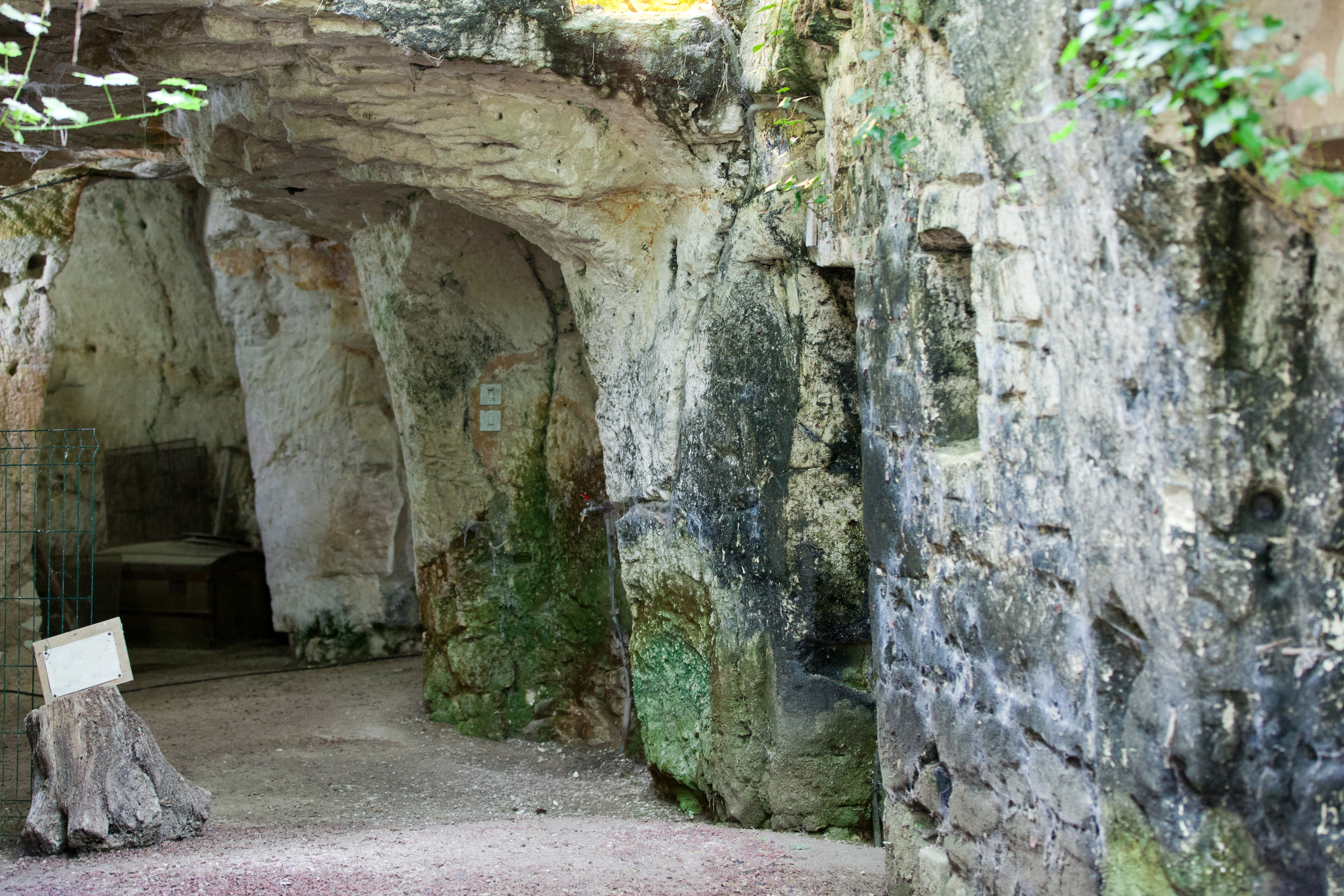 Caves in Loire Valley (Shutterstock)