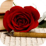Rose icon (Shutterstock)