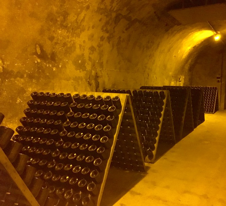 Champagne cave Reims (Kate Jones, Shutterstock)