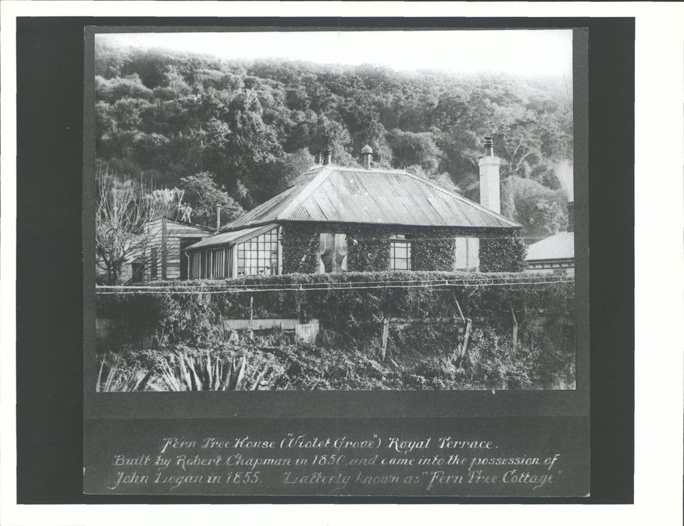 Trees backing Royal Terrace (Source: Hocken Library)