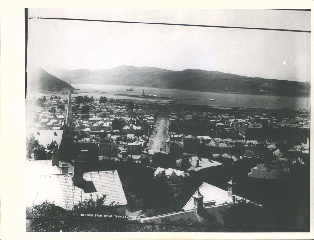 View from Royal Terrace 1890s (Source: Hocken Library)